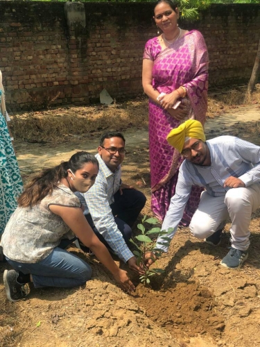 NSS-Tree-Plantation