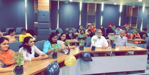 festival celebrations (10)