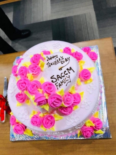 festival celebrations (12)