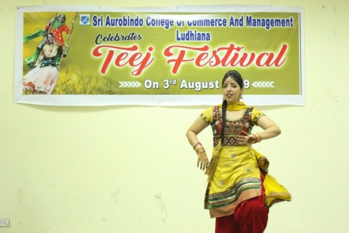 festival celebrations (2)