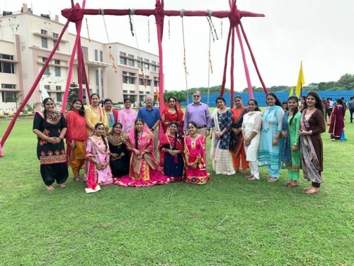 festival celebrations (4)