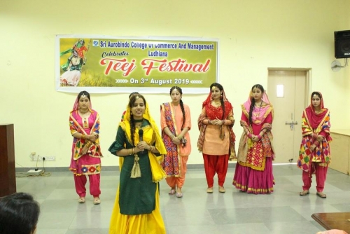 festival celebrations (5)