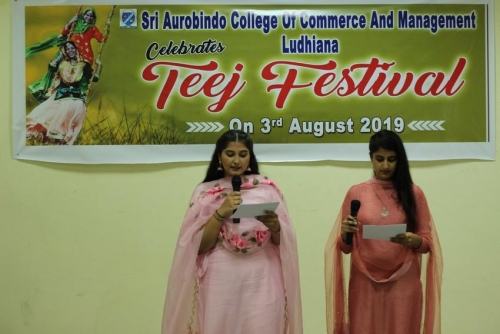 festival celebrations (6)