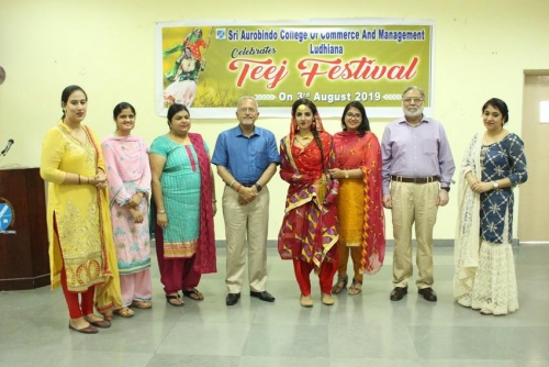 festival celebrations (8)